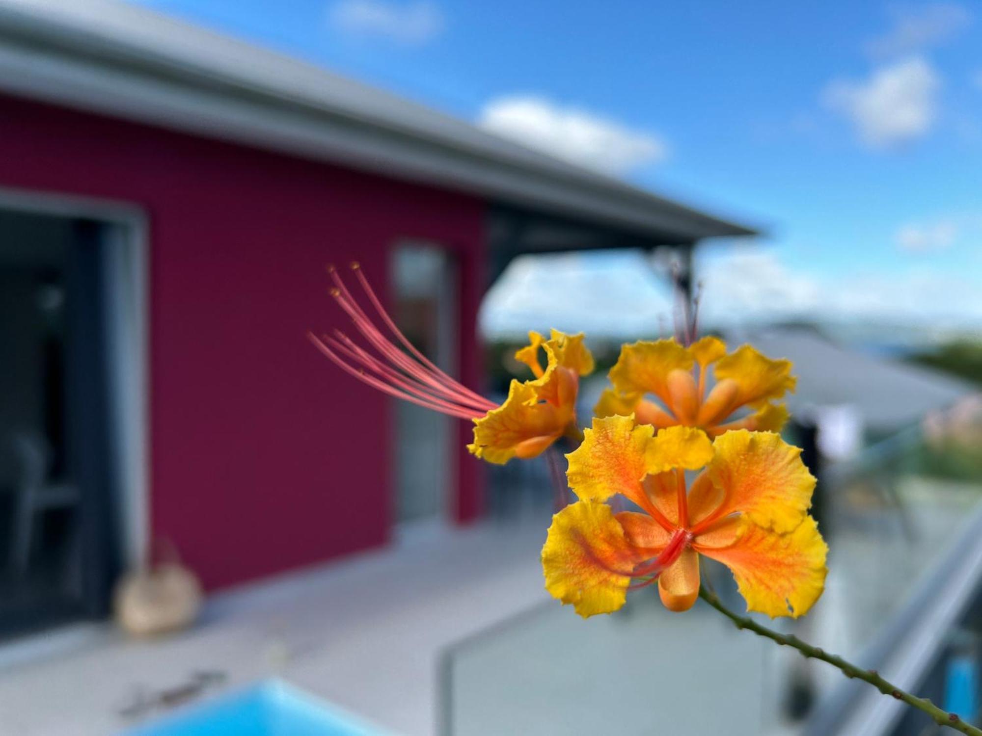La Villa Jalna Grenadine Deux Chambres Et Piscine Privee Les Trois-Ilets Luaran gambar